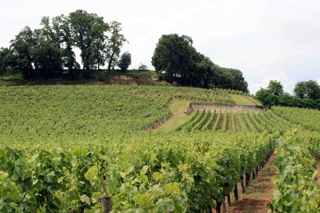La Residence Les Grands Vignobles Либурн Номер фото